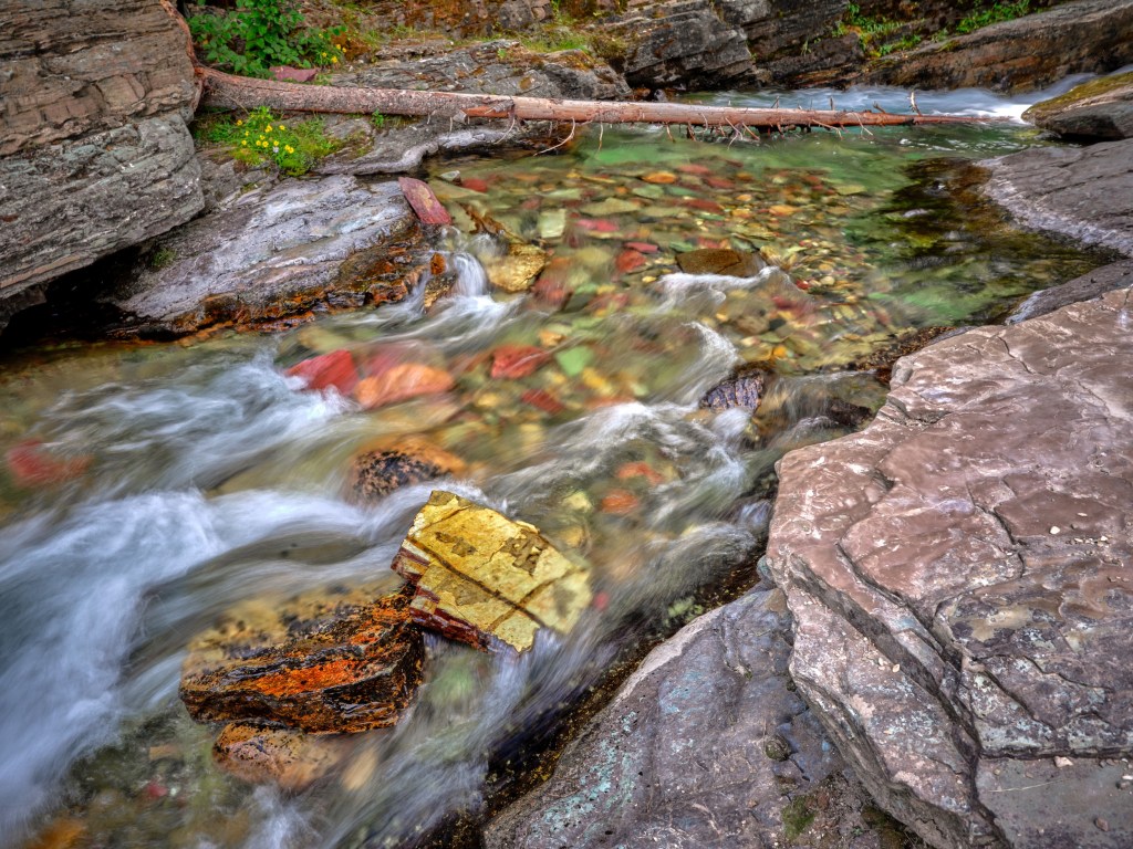 A clear creek tumbles over colorful rocks and pools beneath layered canyon walls and forest shade.