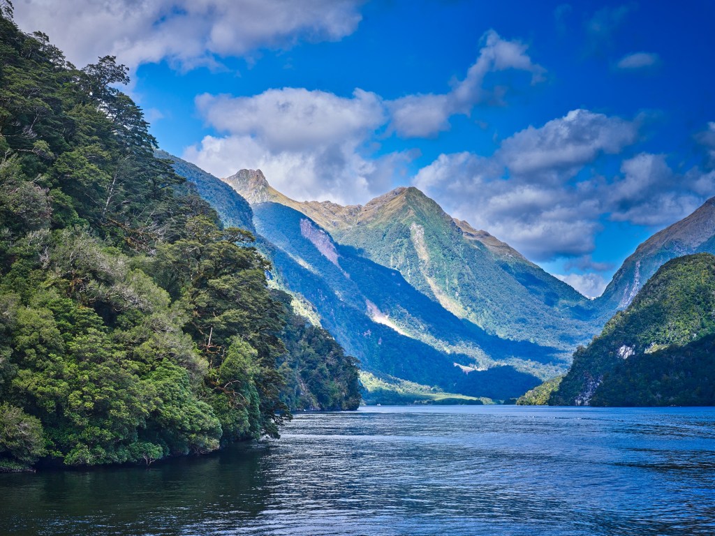 New Zealand 81 The fjord opens between high green ridges beneath bright clouds and blue sky.