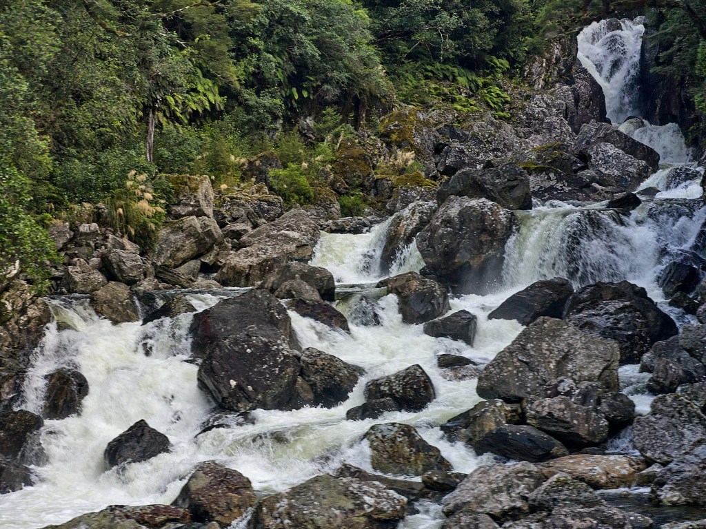 New Zealand 45 White water rushes over boulders through green forest toward the fjord shoreline.