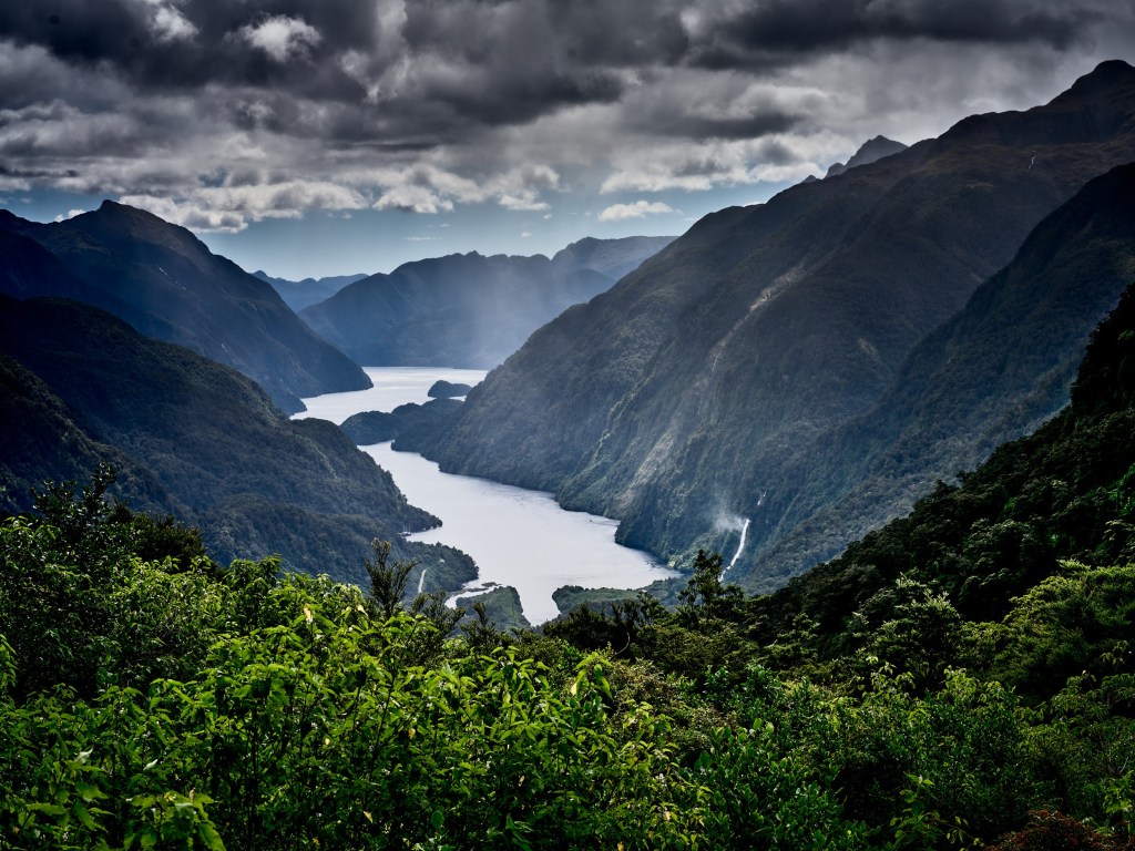 New Zealand 24 Layered fjord arms and forested ridges recede into mist from a high mountain pass.