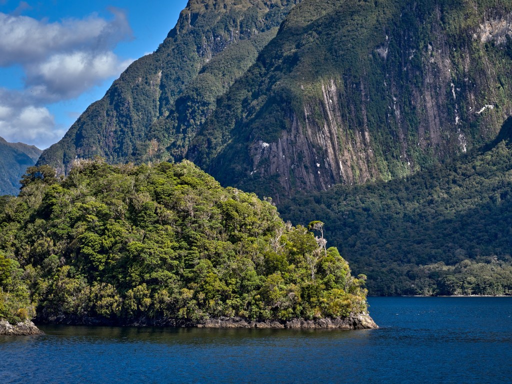 New Zealand 84 A small forested island sits in dark water below towering glacier carved rock walls.