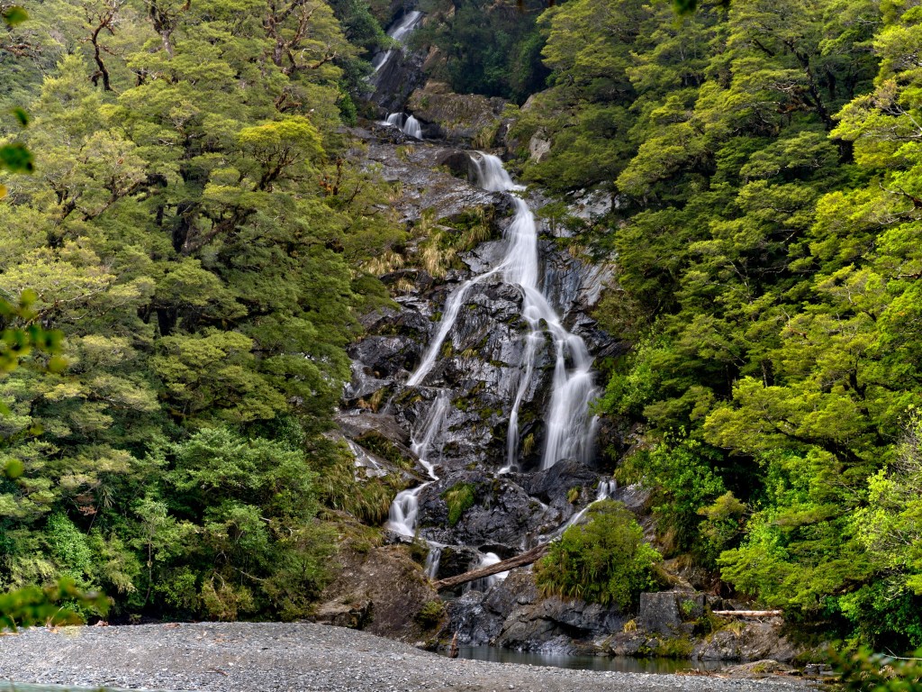 New Zealand 16 Multiple white cascades tumble over rock steps through lush roadside forest.