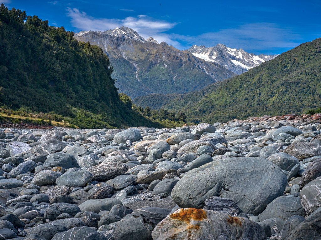 New Zealand 61 Rounded gray stones fill a broad glacial riverbed with snowy peaks beyond the forested valley.