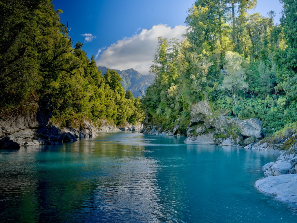 New Zealand 28 Mineral tinted river water glows blue beside rounded stones and dense forest along the gorge.