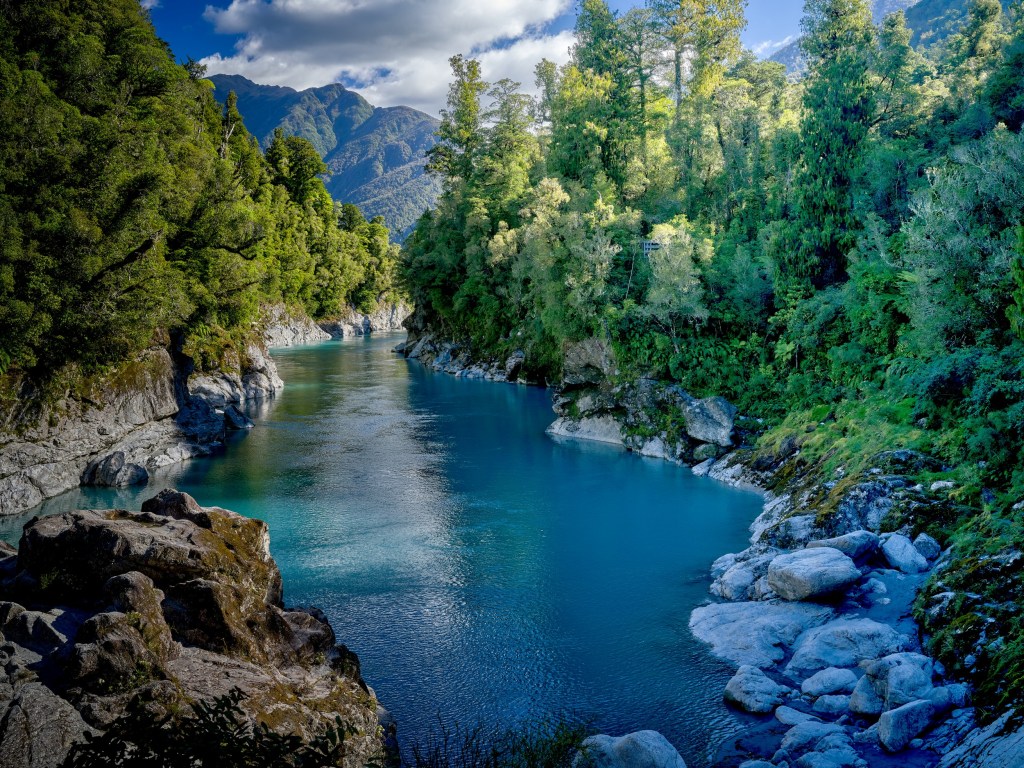 New Zealand 82 Bright blue glacial water winds through a rocky gorge lined with lush West Coast forest.