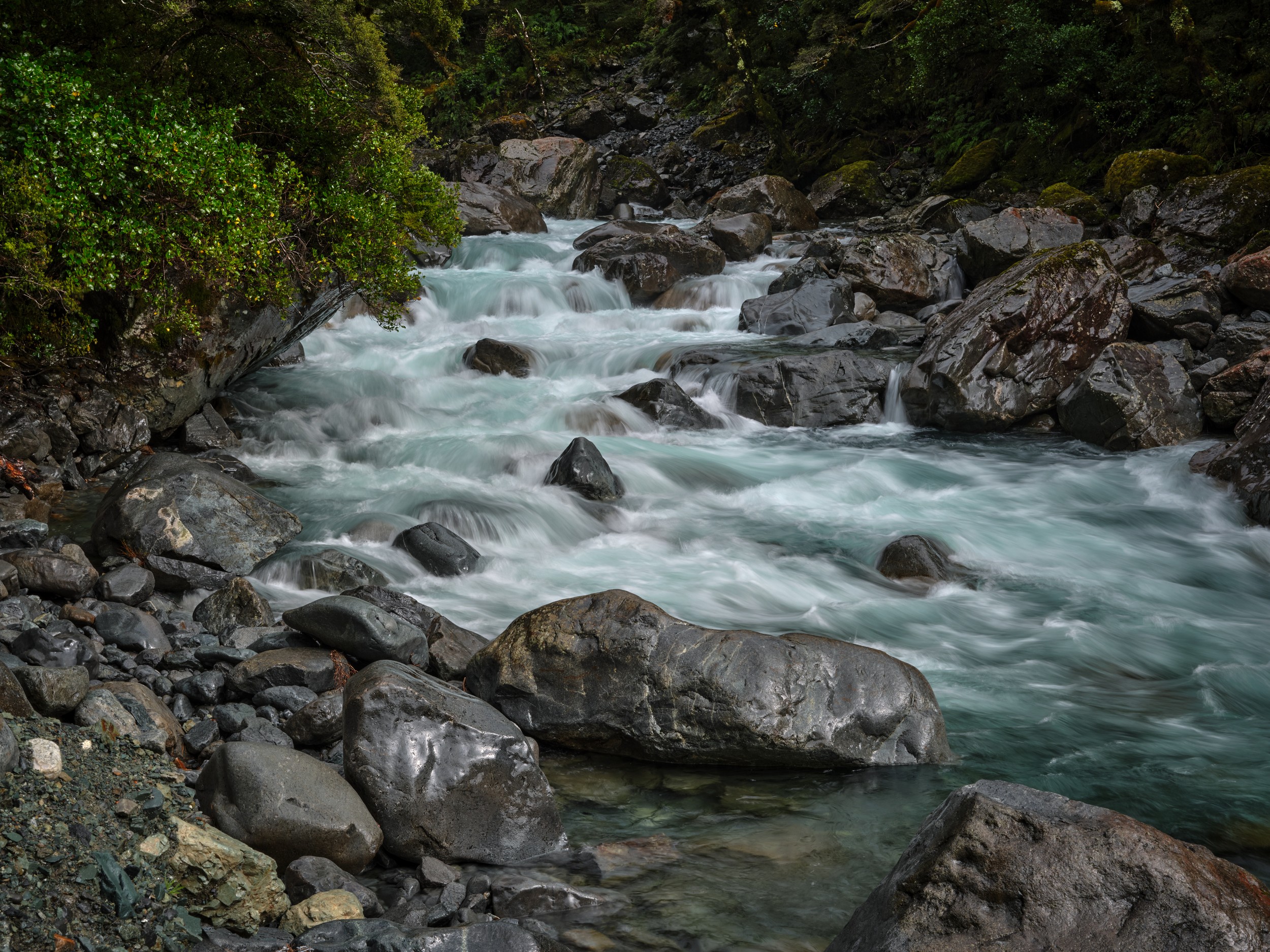 Milford Sound 24 Blue-white water rushes between dark boulders and green forest along the Hollyford River near Milford Sound.