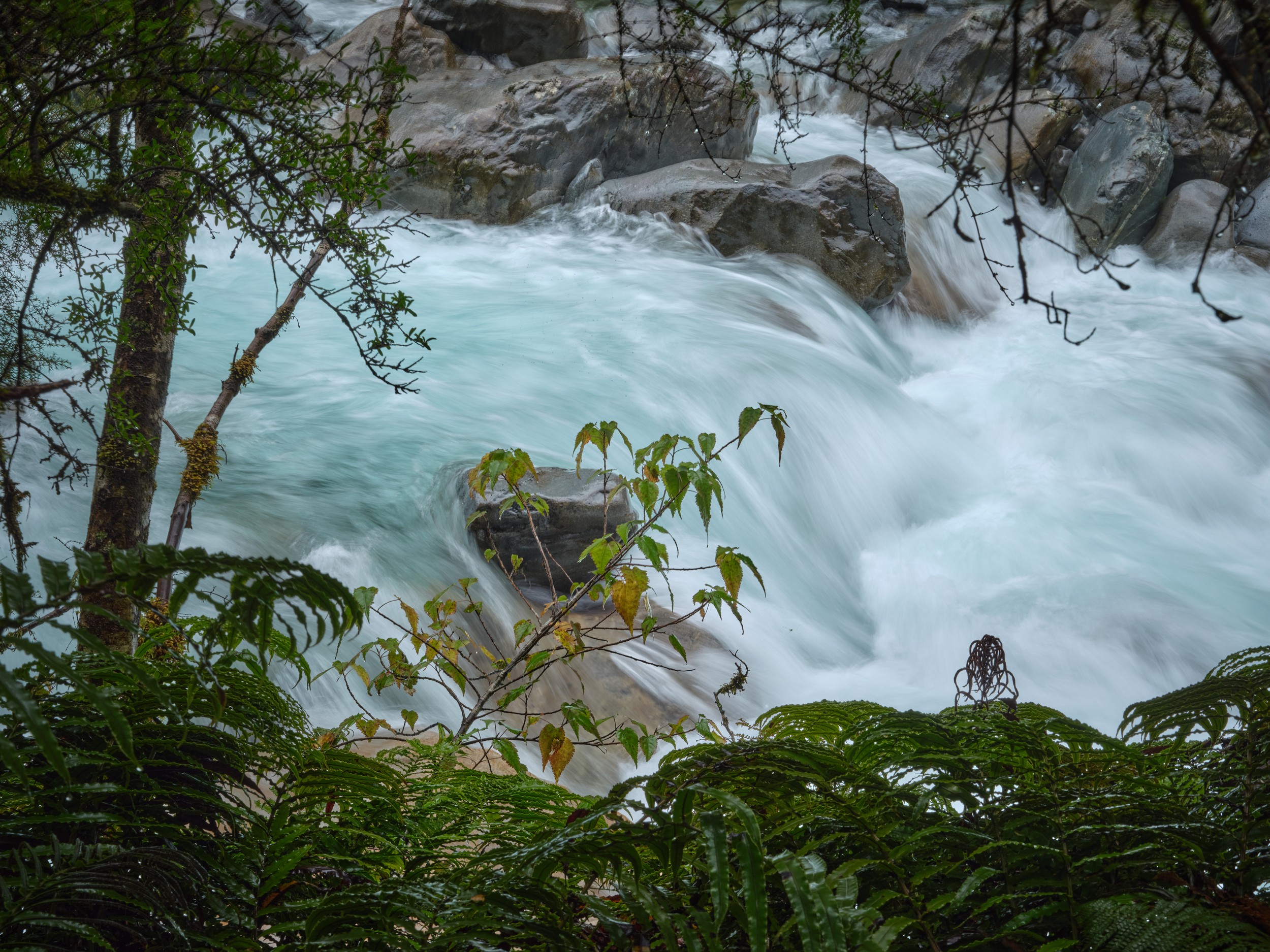 Milford Sound 21 A swift turquoise river surges past rocks and forest vegetation in Fjordland near Milford Sound.
