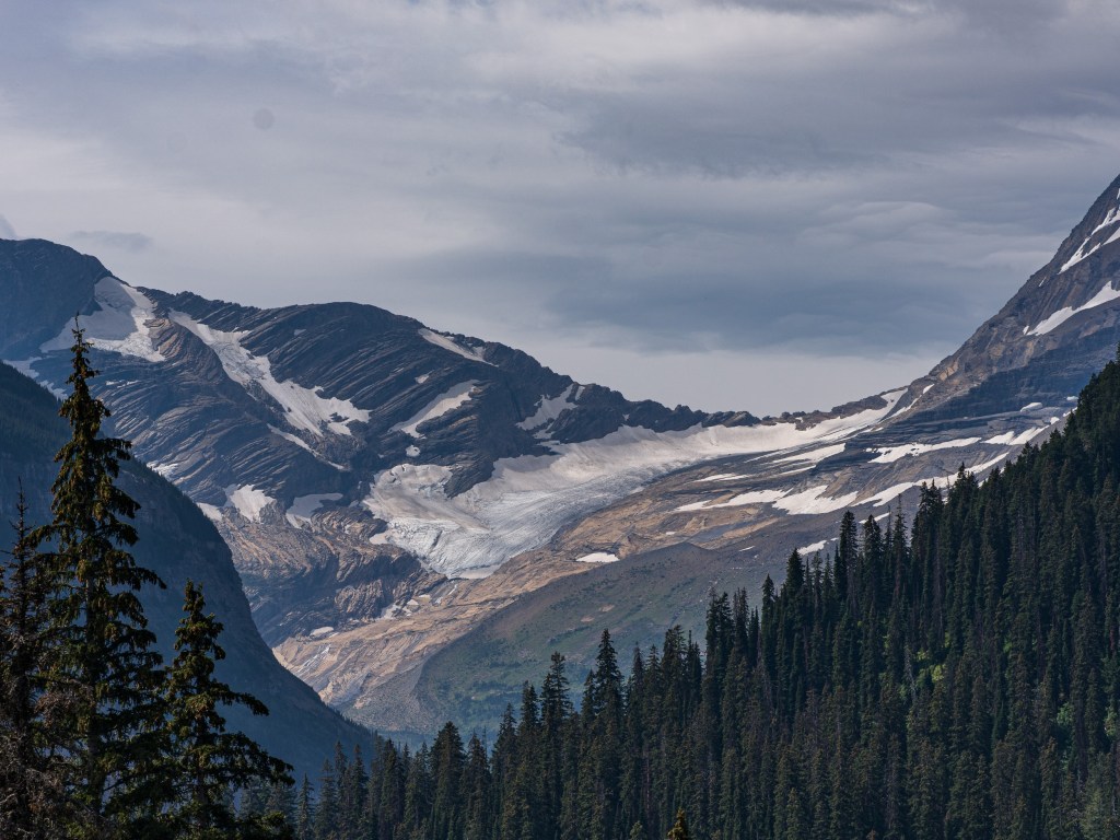 A glacier clings to a mountain cirque above dark forest slopes beneath a subdued overcast sky.