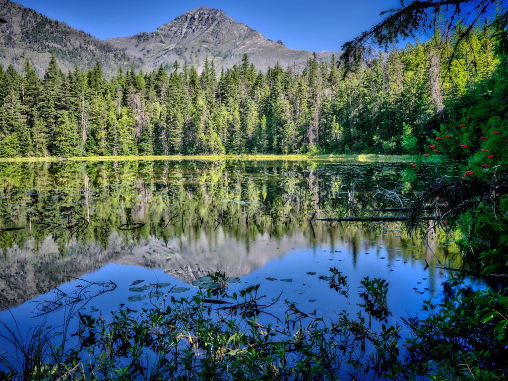 A calm mountain lake reflects a rocky summit and dense conifer forest beneath a clear blue sky.