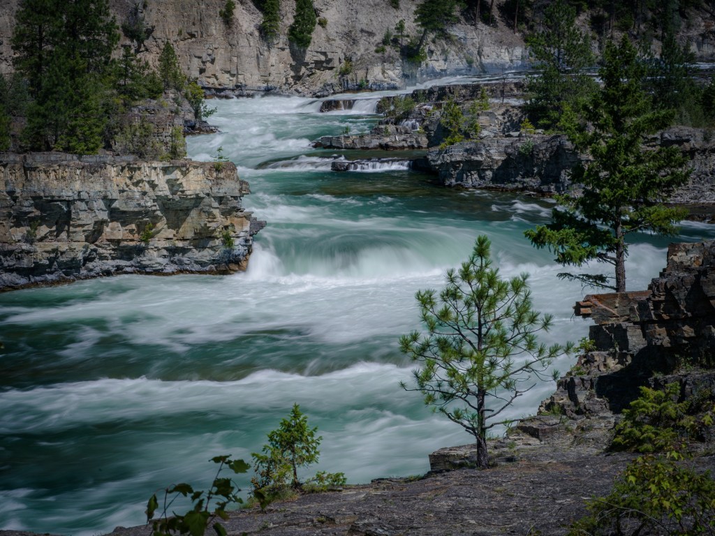 Powerful rapids churn through a narrow canyon with rock shelves and scattered pines along the banks.