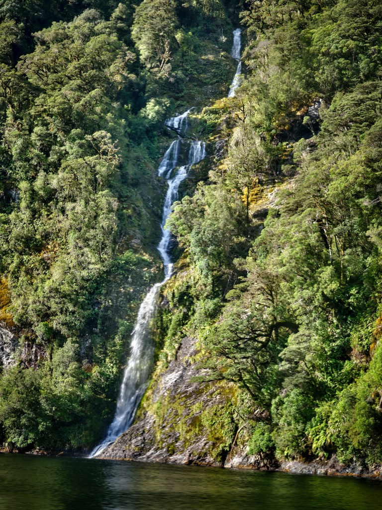 New Zealand 74 A tall white waterfall descends a green cliff into shadowed Fiordland forest.