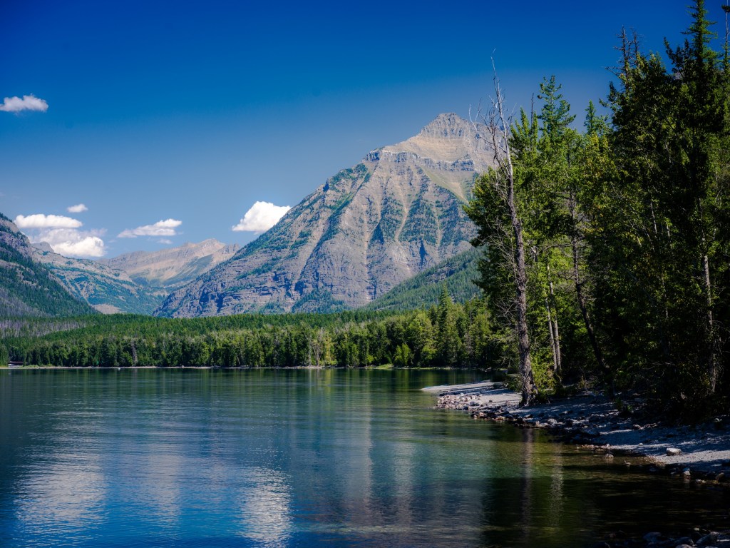 A tranquil lake reflects blue sky and mountains while evergreen trees line the bright shoreline.