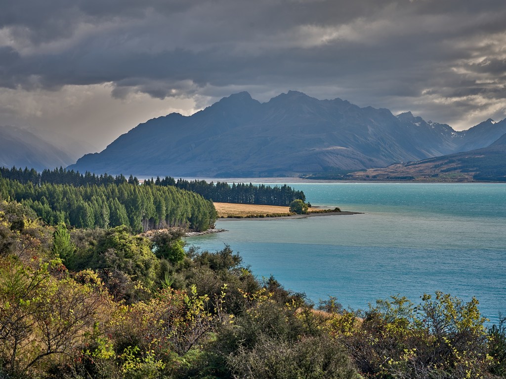 New Zealand 44 Turquoise lake water curves around a brushy shore with blue mountains beneath heavy clouds.