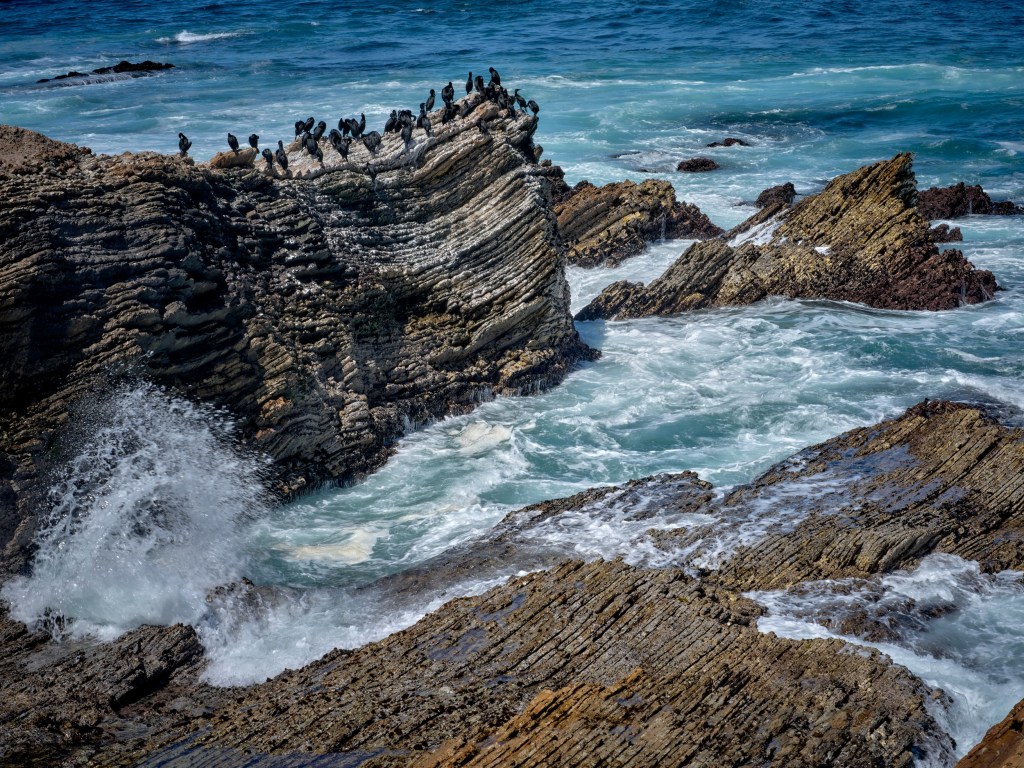 Jagged folded shoreline formations rise above bright ocean swells and frothy water near the bluff walk.