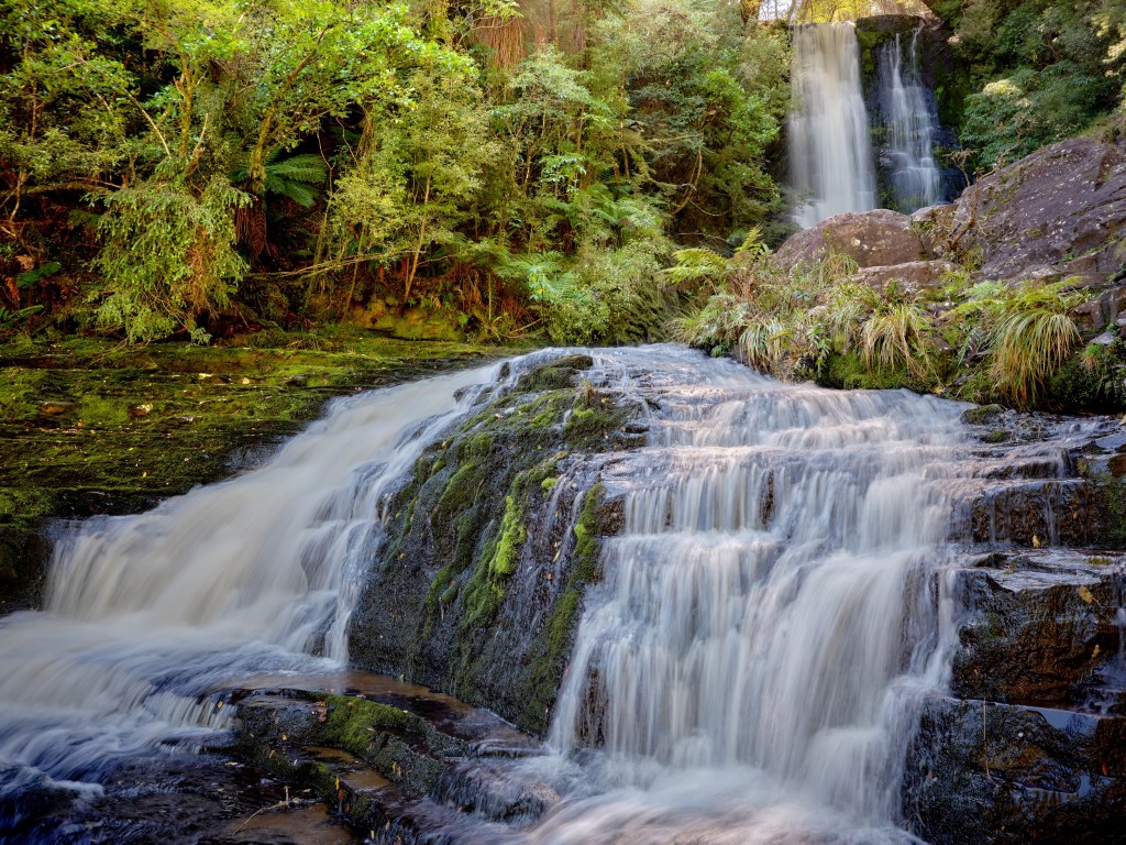 New Zealand 19 White water fans over layered rock shelves in a lush green Catlins forest.