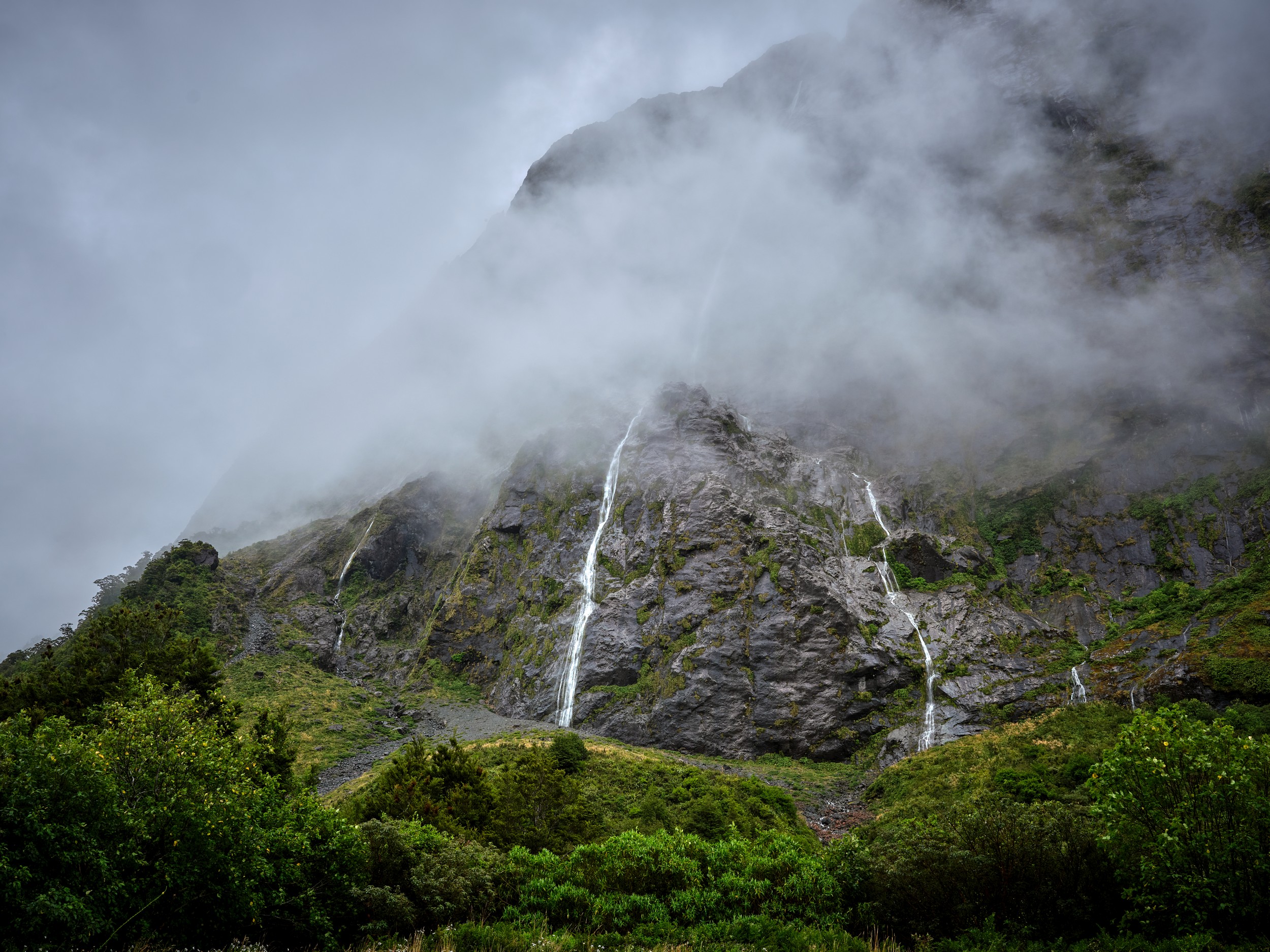 Milford Sound 1 A white ribbon waterfall drops from cloud-covered cliffs into dense green vegetation near Milford Sound.