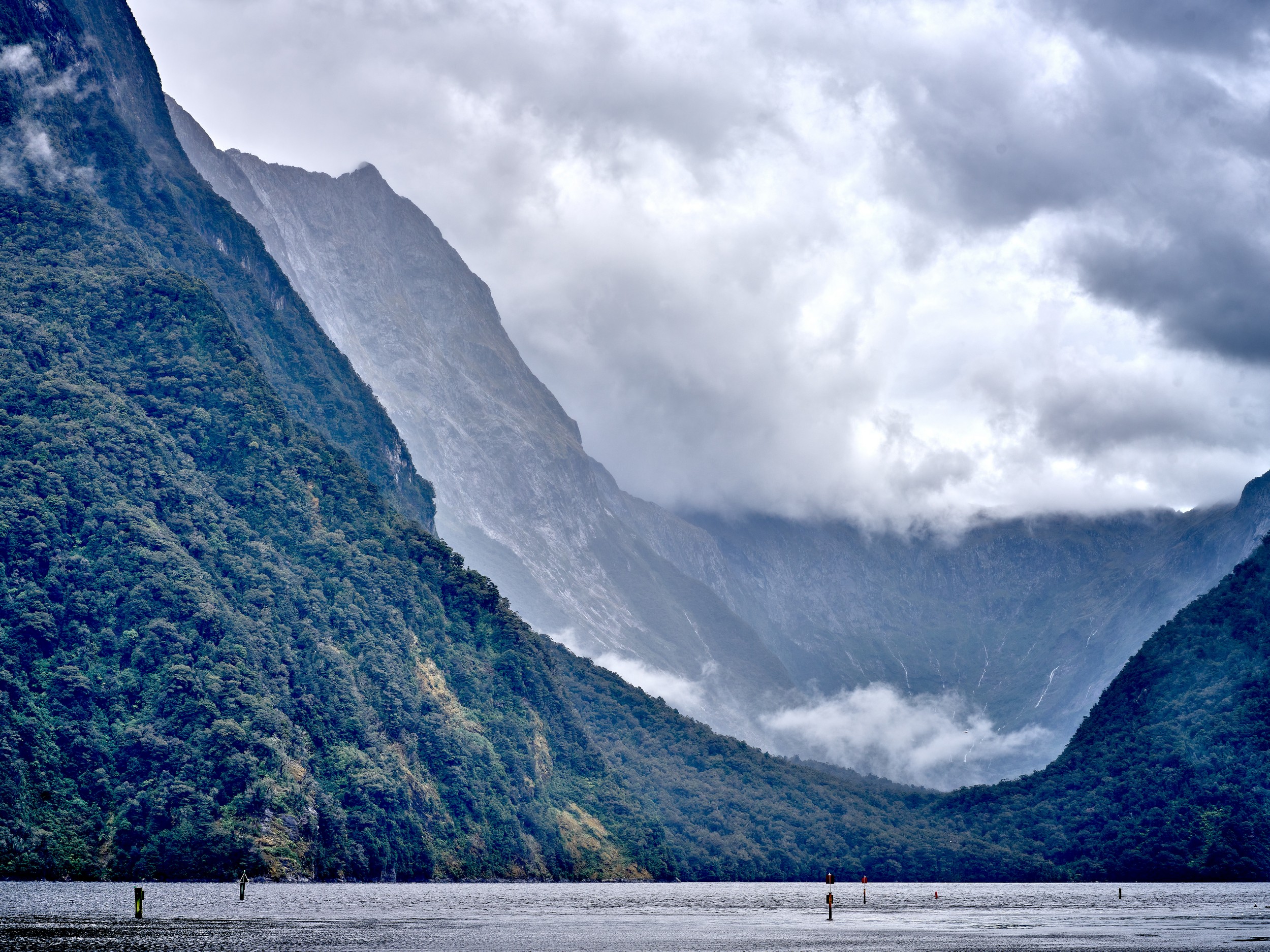 Milford Sound 15 A low cloud layer settles between forested fjord walls and distant cliffs across the calm waters of Milford Sound.