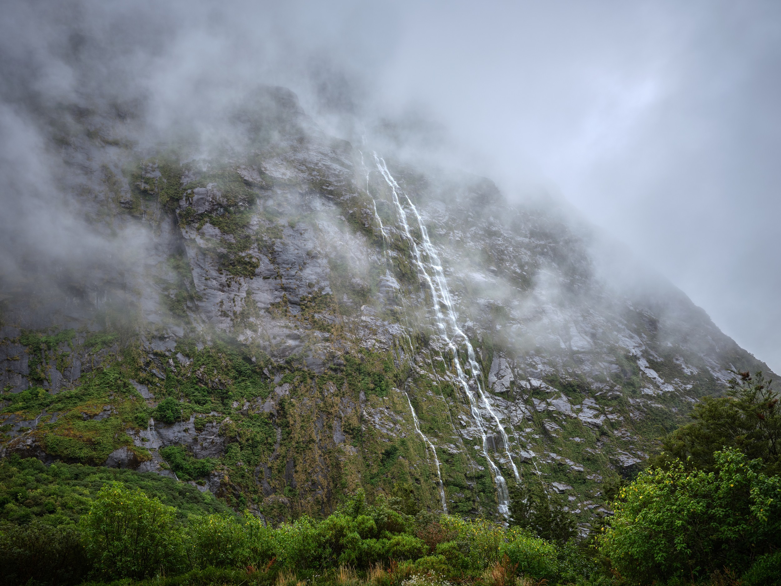 Milford Sound 18 A tall waterfall emerges through drifting mist on a forested cliff after rain in Fiordland.