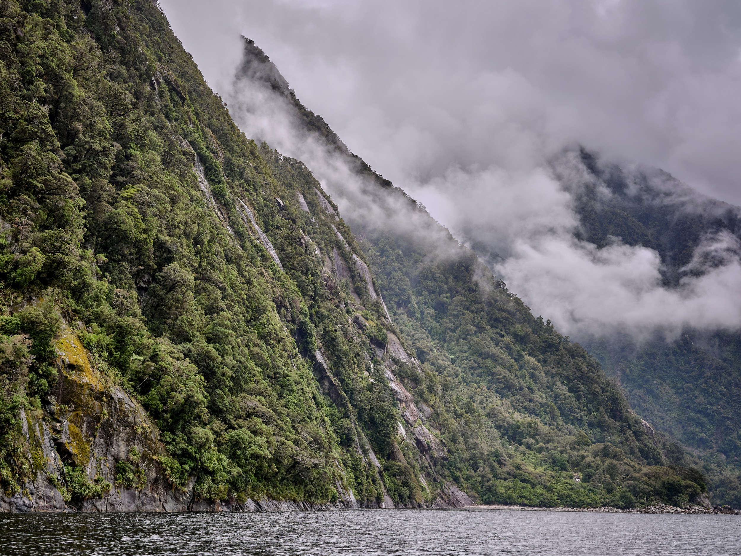 Milford Sound 20 Low clouds drift along a steep forested fjord wall rising from Milford Sound?s dark water.
