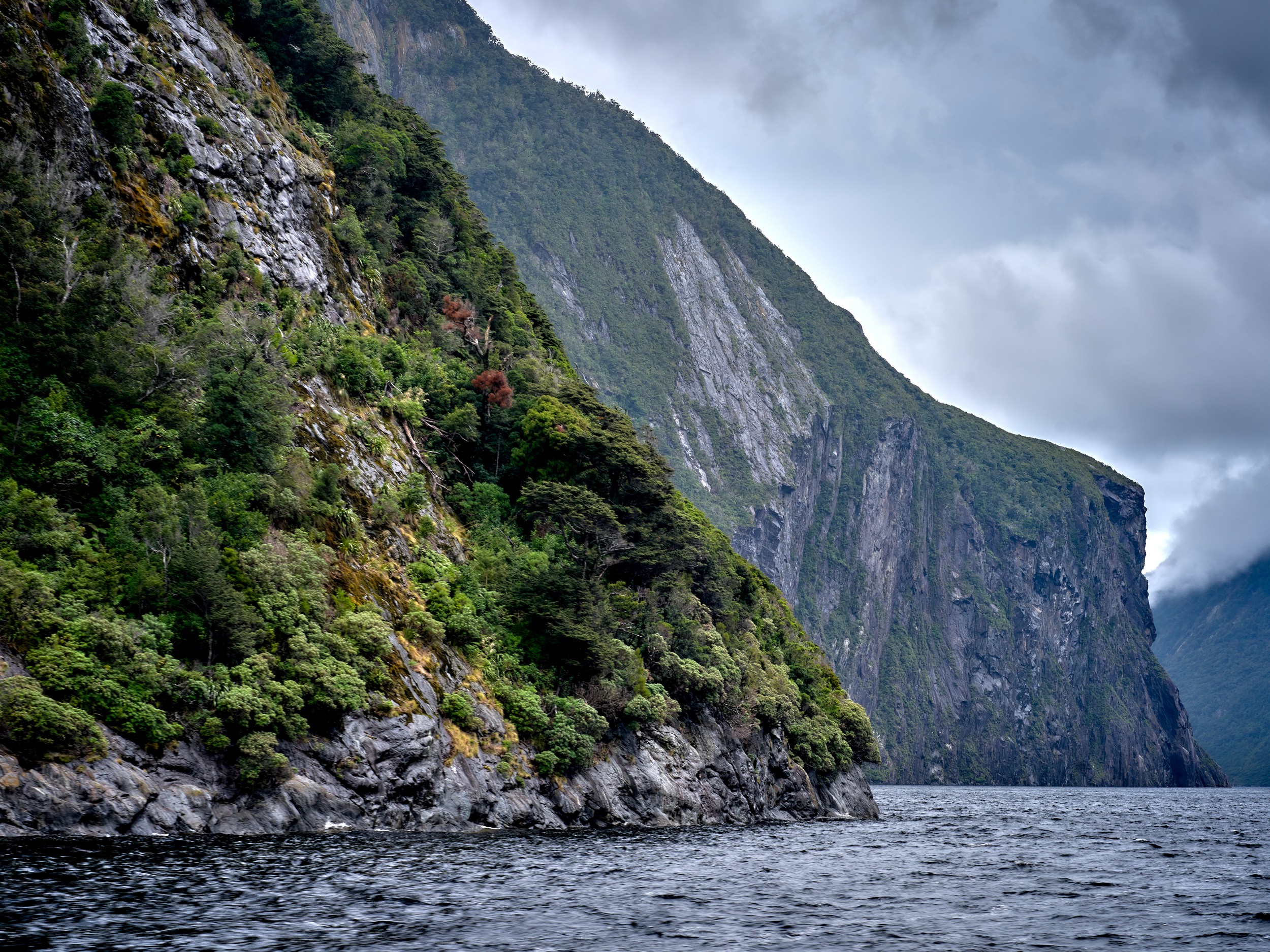 Milford Sound 12 Dense vegetation clings to a nearly vertical fjord wall rising directly from the dark water of Milford Sound.