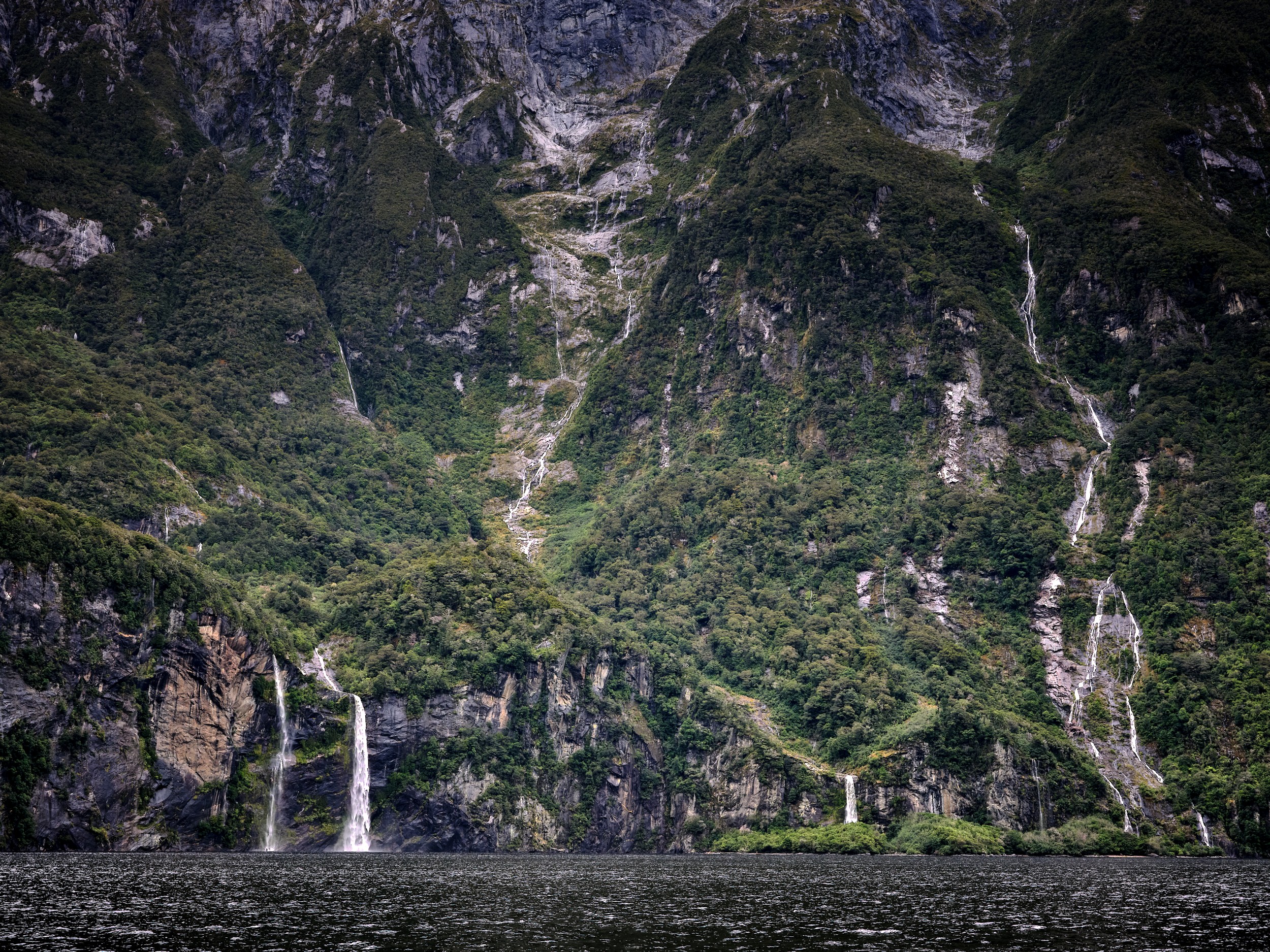 Milford Sound 26 Multiple waterfalls streak down a broad green and gray fjord wall along Milford Sound.