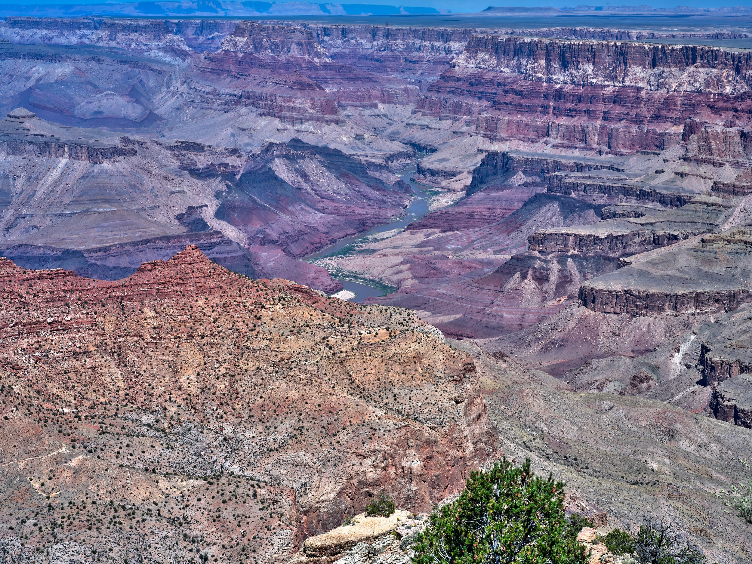 A Navajo Point view shows contrasting red cliffs, pale ridges, and orange canyon terraces below.