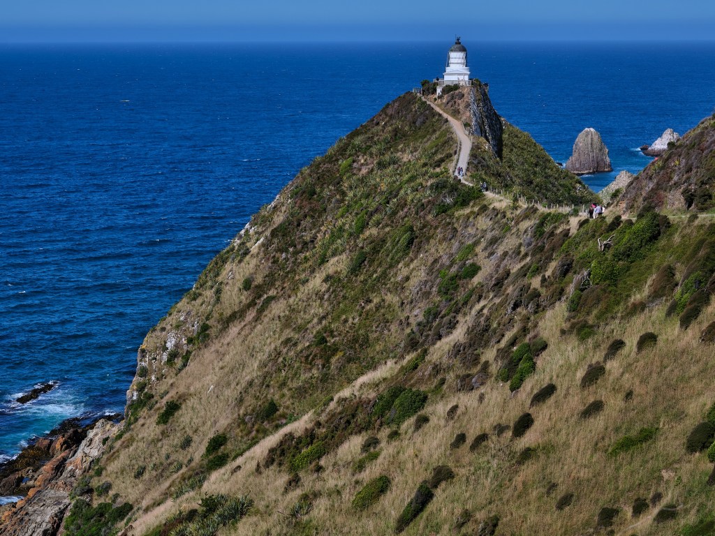 New Zealand 79 A white lighthouse stands on a narrow green ridge above deep blue ocean.