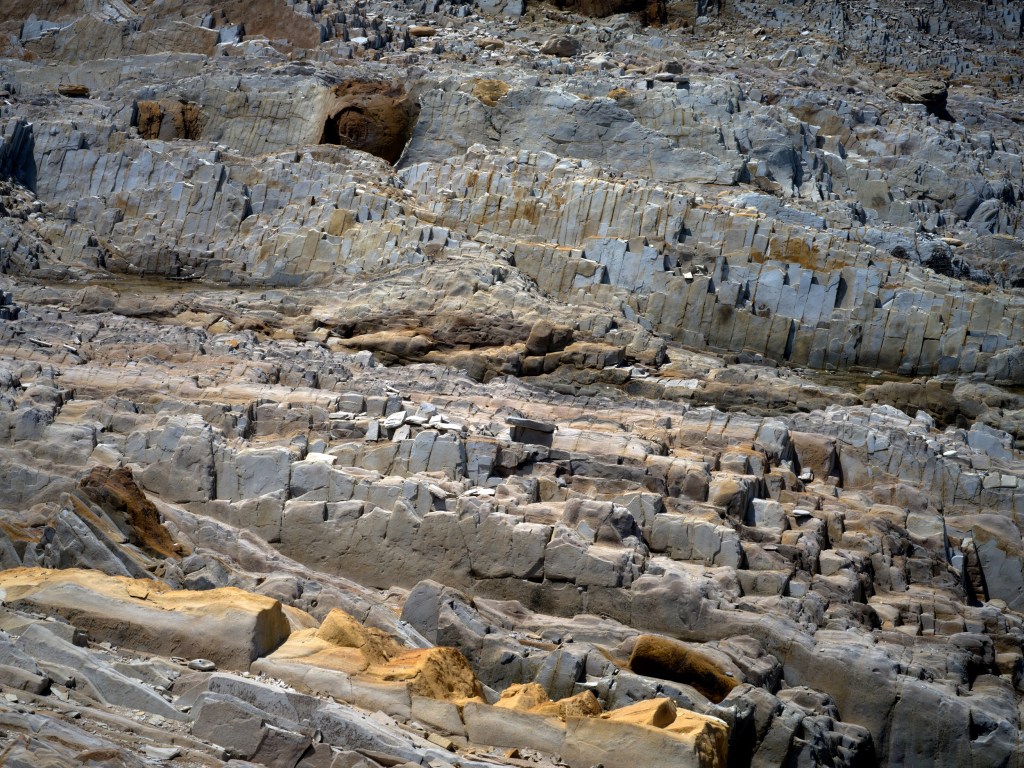 Close view of light sedimentary ledges showing cracks, layers, and weathered textures along the shore.