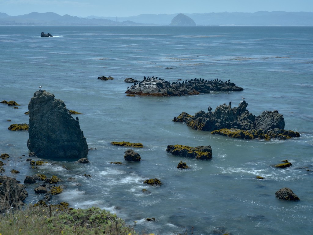 Low sea stacks and kelp-dotted shallows create a textured coastal scene below the bluff.