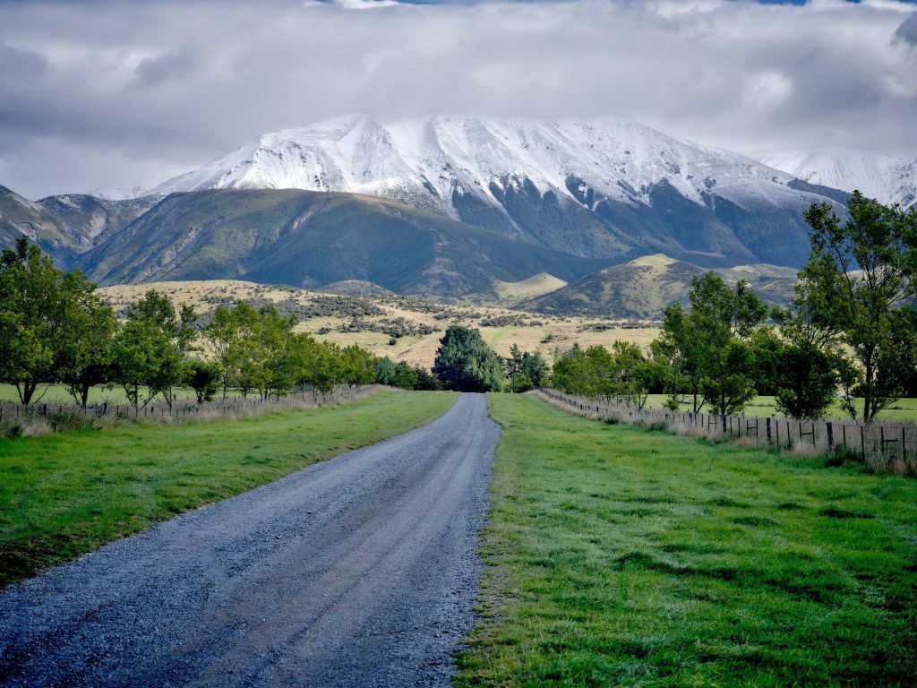 New Zealand 46 A gravel farm road leads through green pasture toward broad snow covered mountains under low clouds.