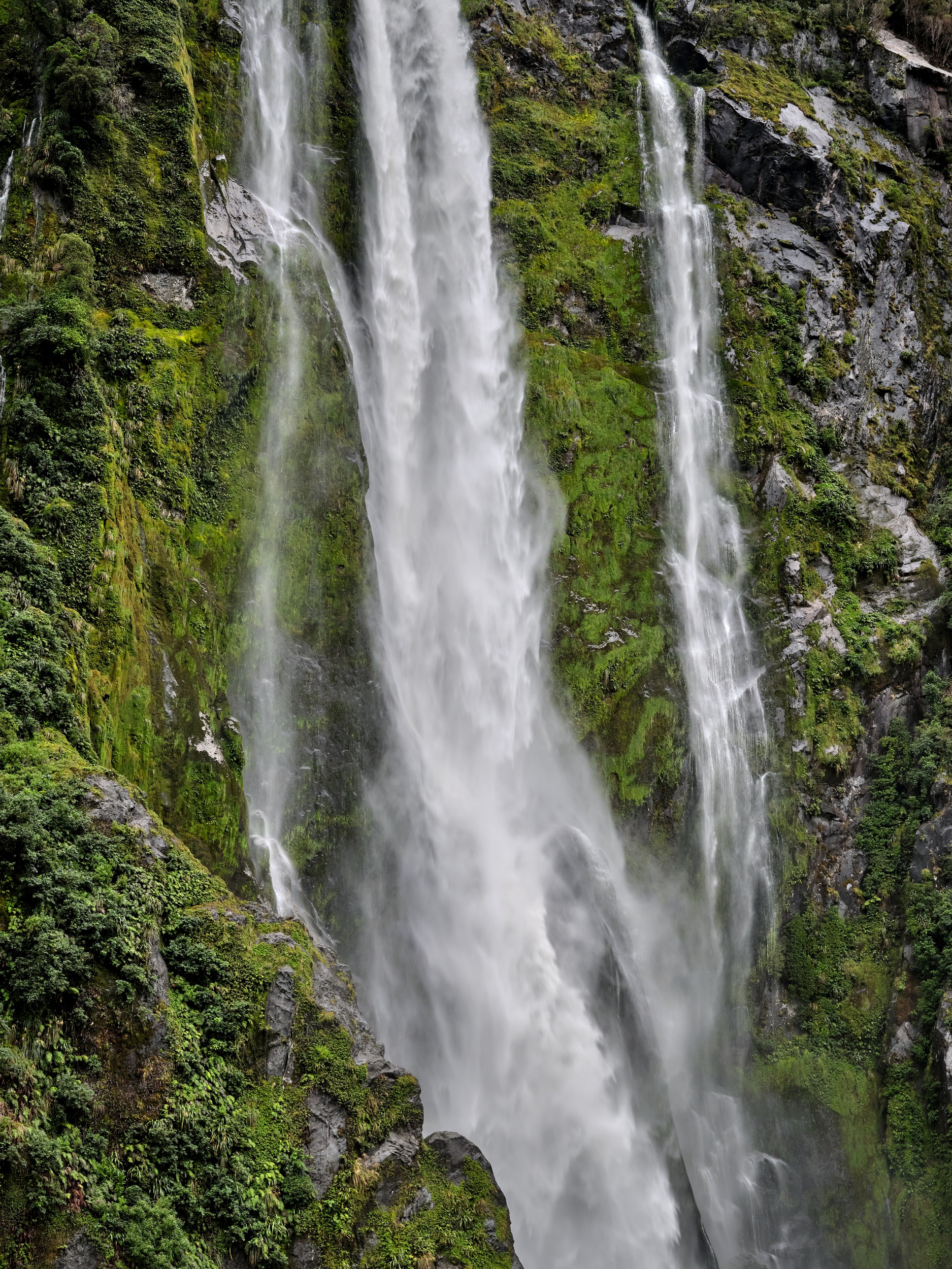 Milford Sound 31 Powerful white water pours down the cliff face in a close view of Stirling Falls.