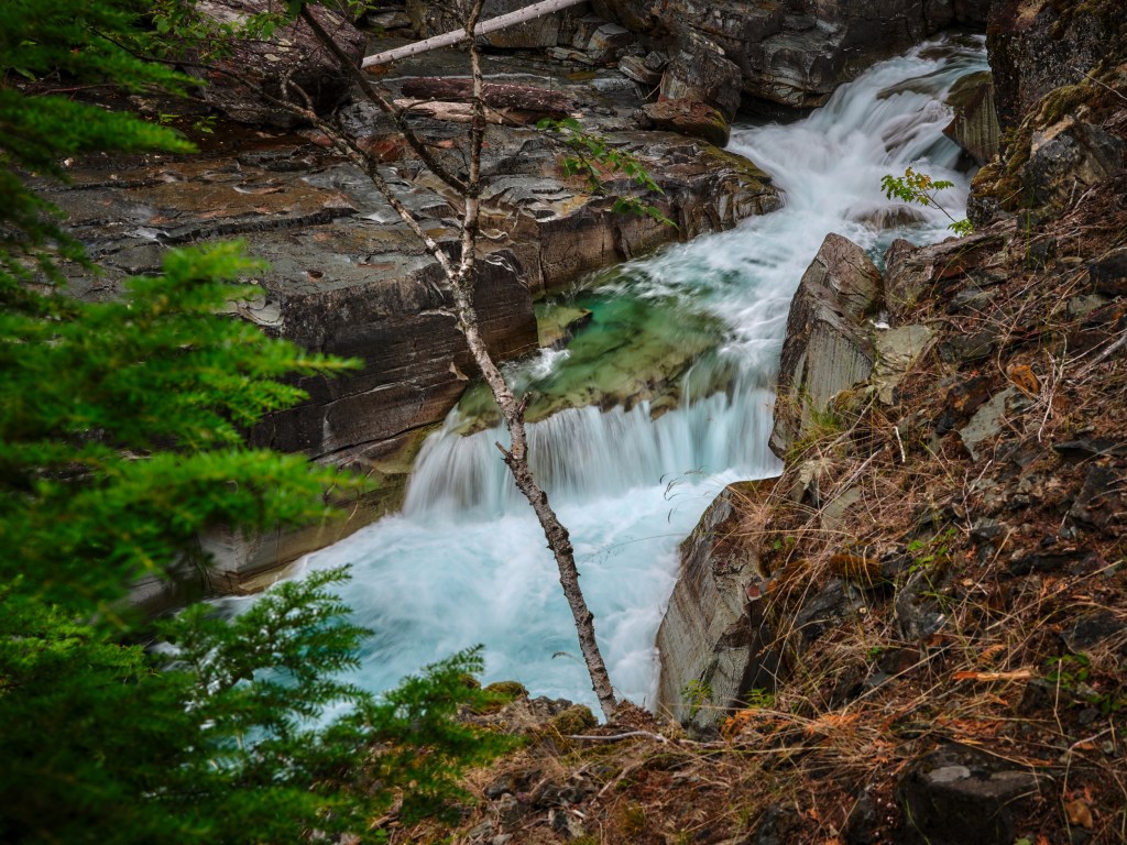 Pale green water pours over a short ledge into a narrow canyon lined with branches and mossy rock.