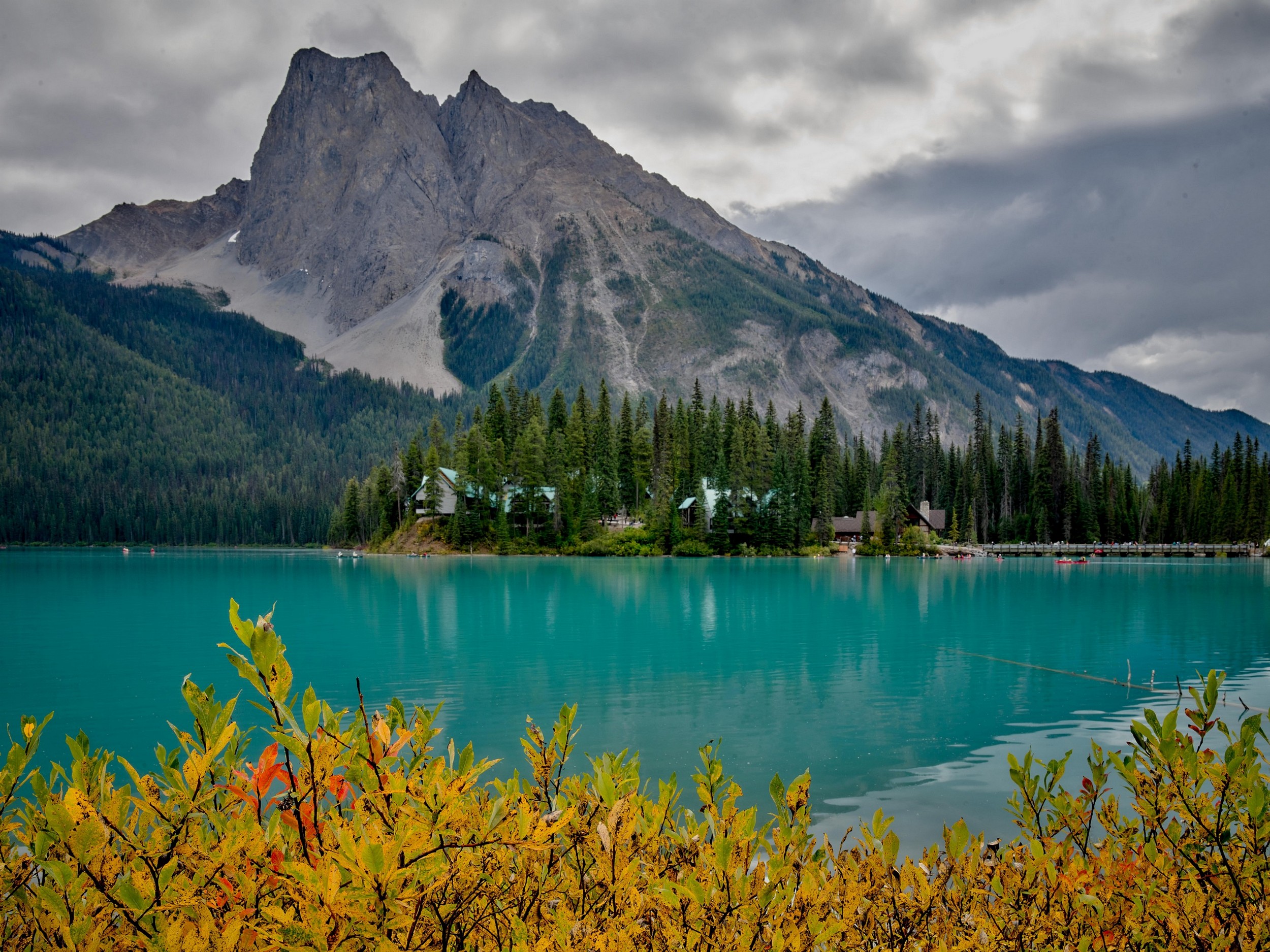 Turquoise Lakes 18 Golden shrubs line vivid turquoise water with a steep, jagged mountain and dark forest beyond.