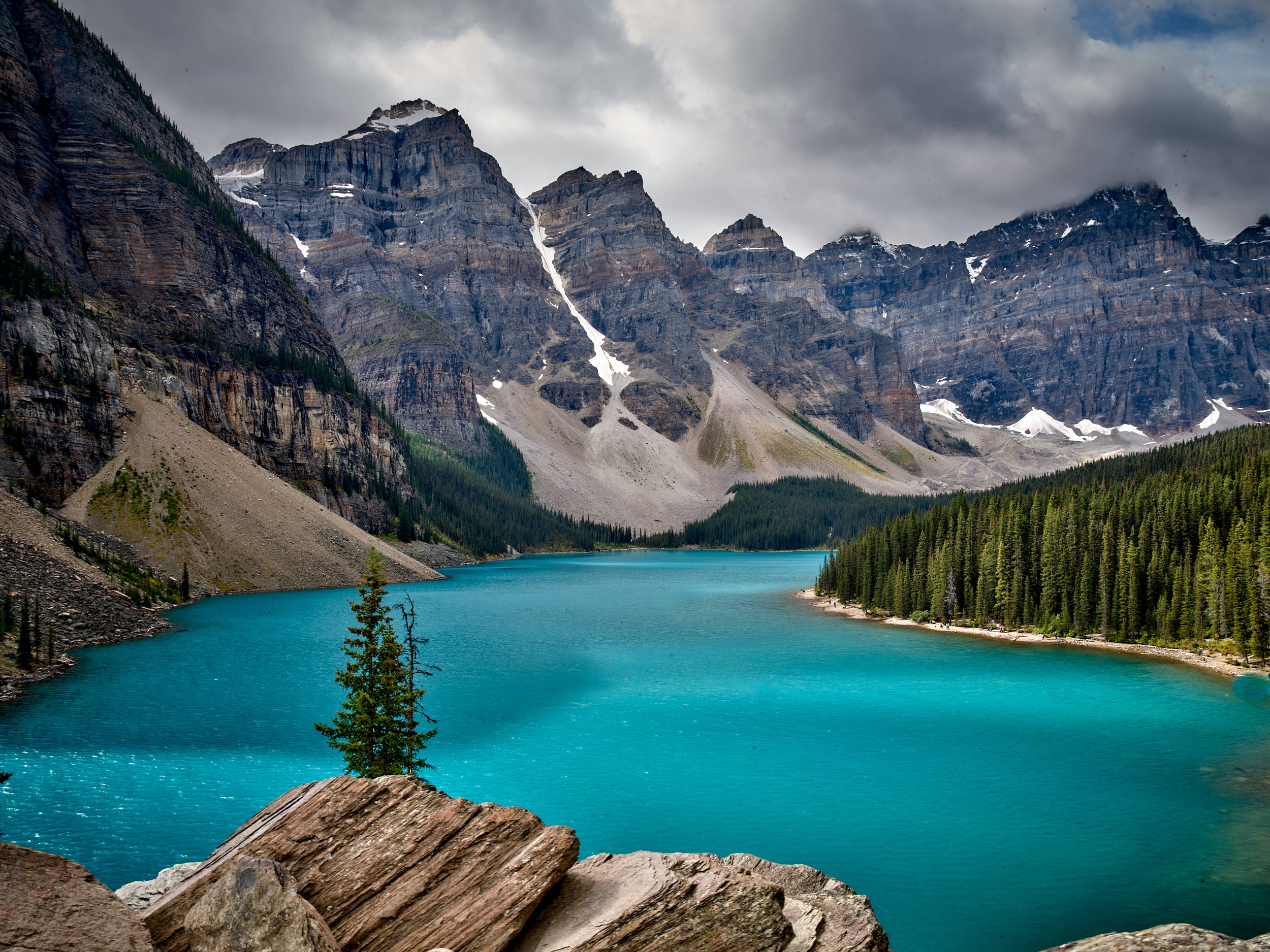 Turquoise Lakes 17 One spruce stands above brilliant Moraine Lake with layered rock in front and the Ten Peaks beyond.