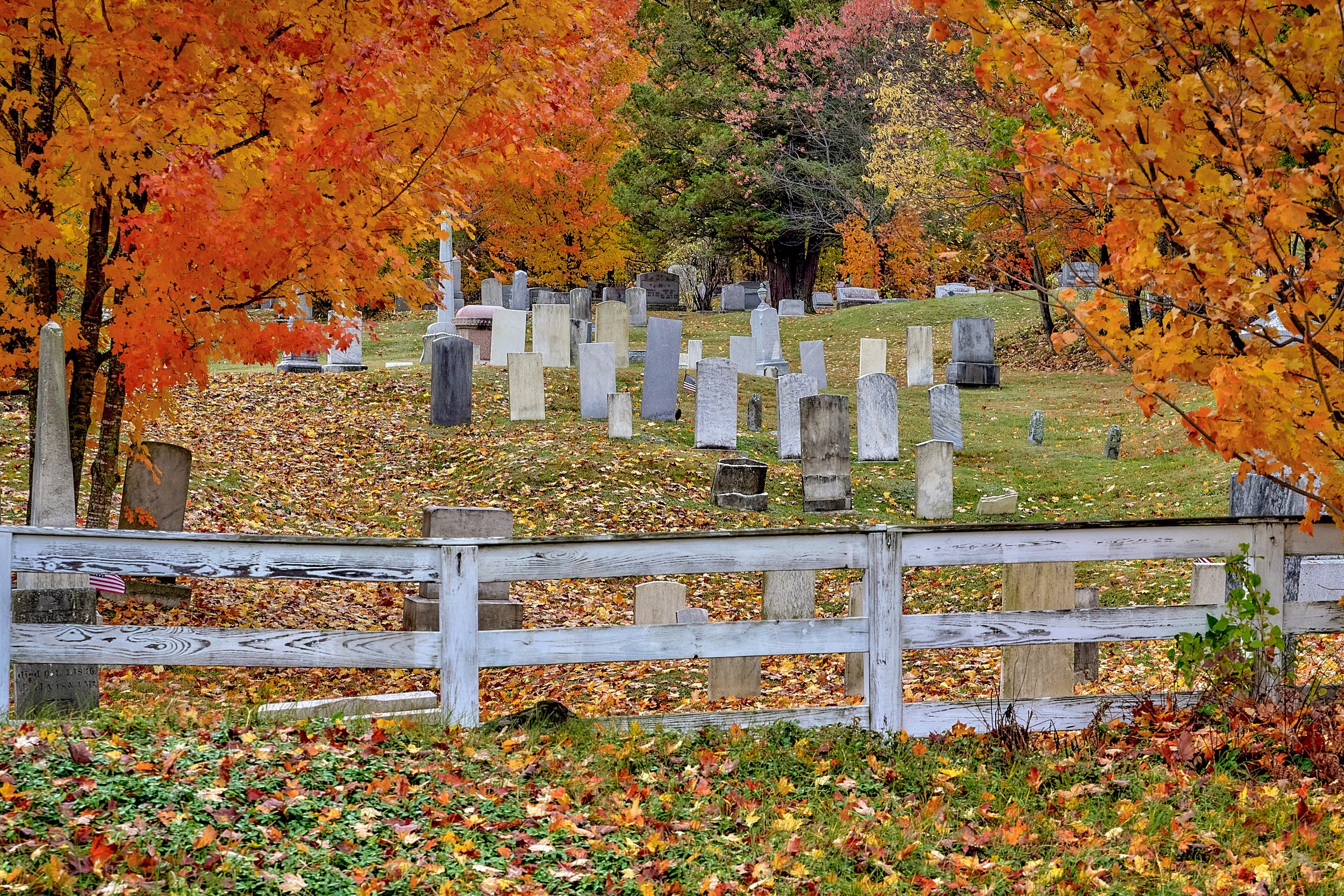 Vermont and Quebec 56 An old cemetery lies under vivid autumn trees with a weathered white wooden fence in the foreground.