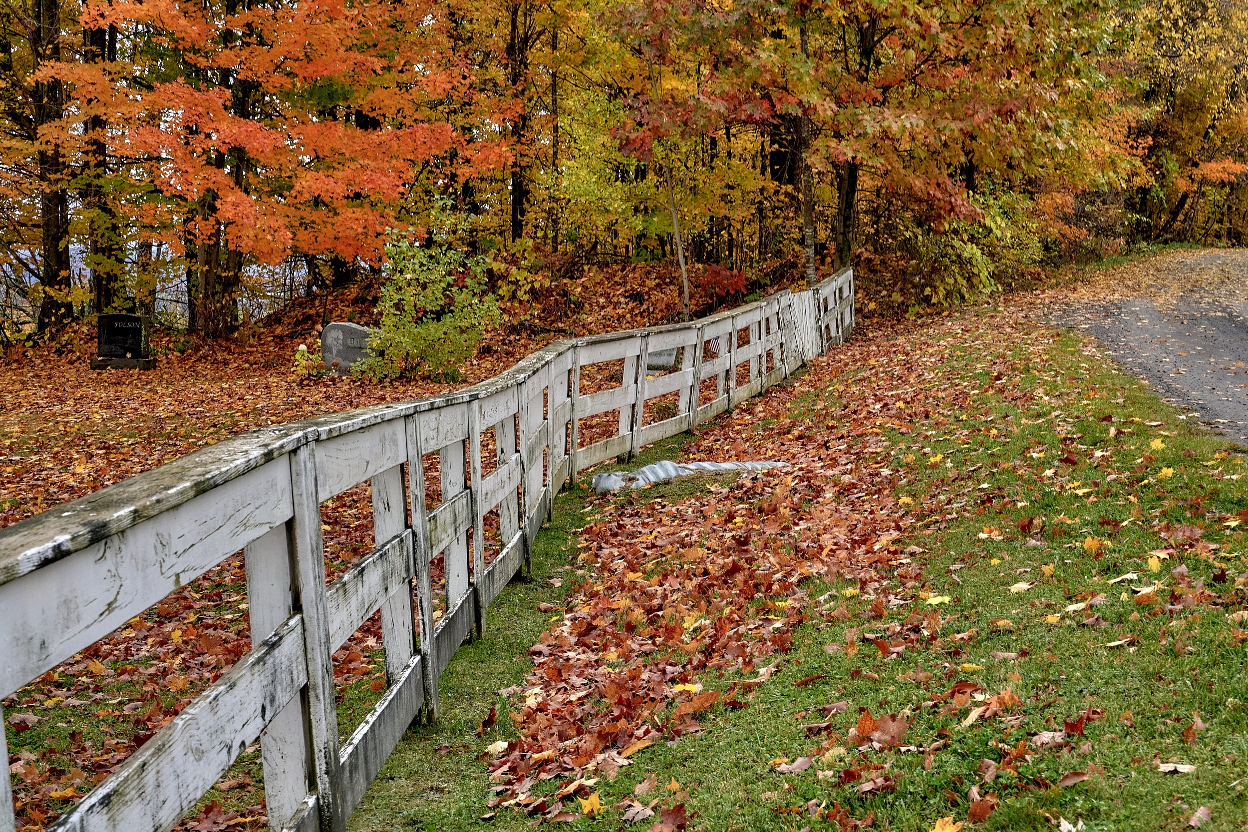Vermont and Quebec 17 Weathered rails curve beside a grassy lane strewn with brown and orange leaves under dense maples.