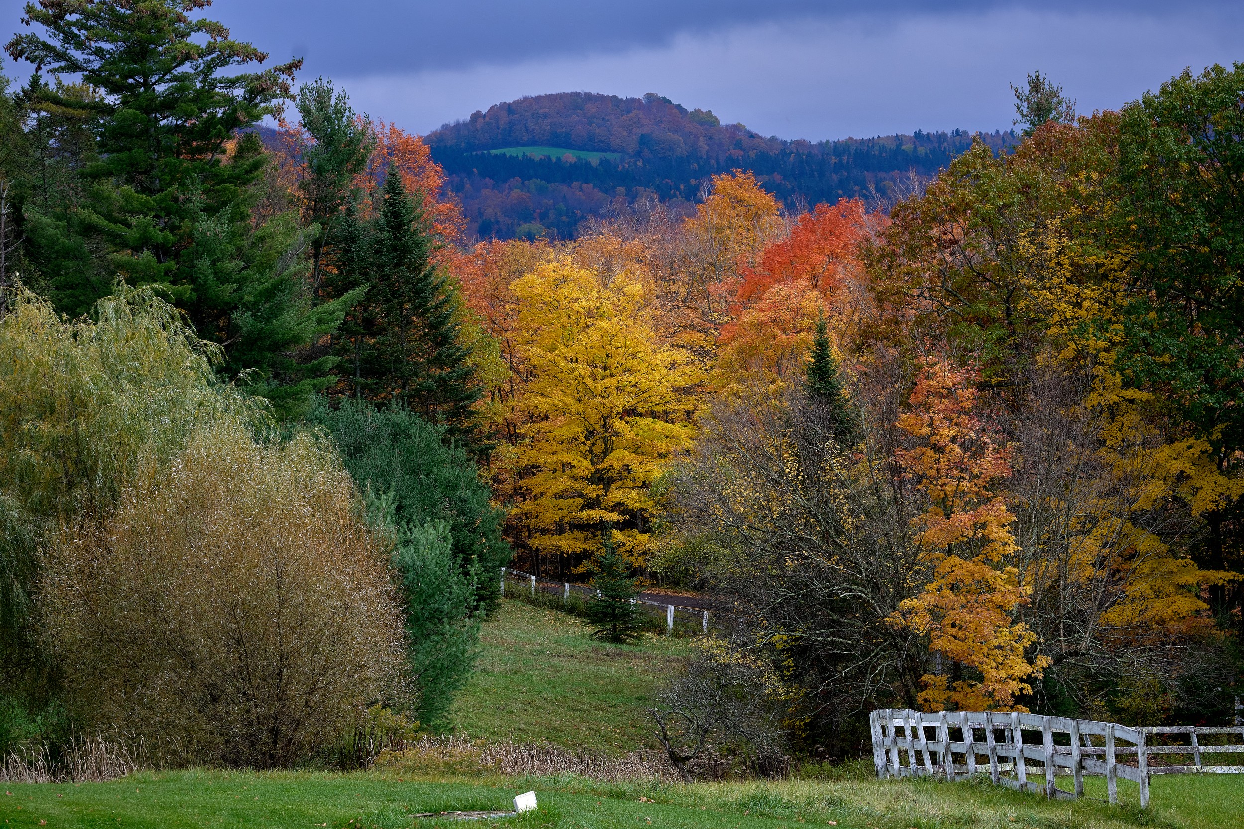 Vermont and Quebec 53 Orange, yellow, and green trees surround a meadow with wooded hills rising behind.