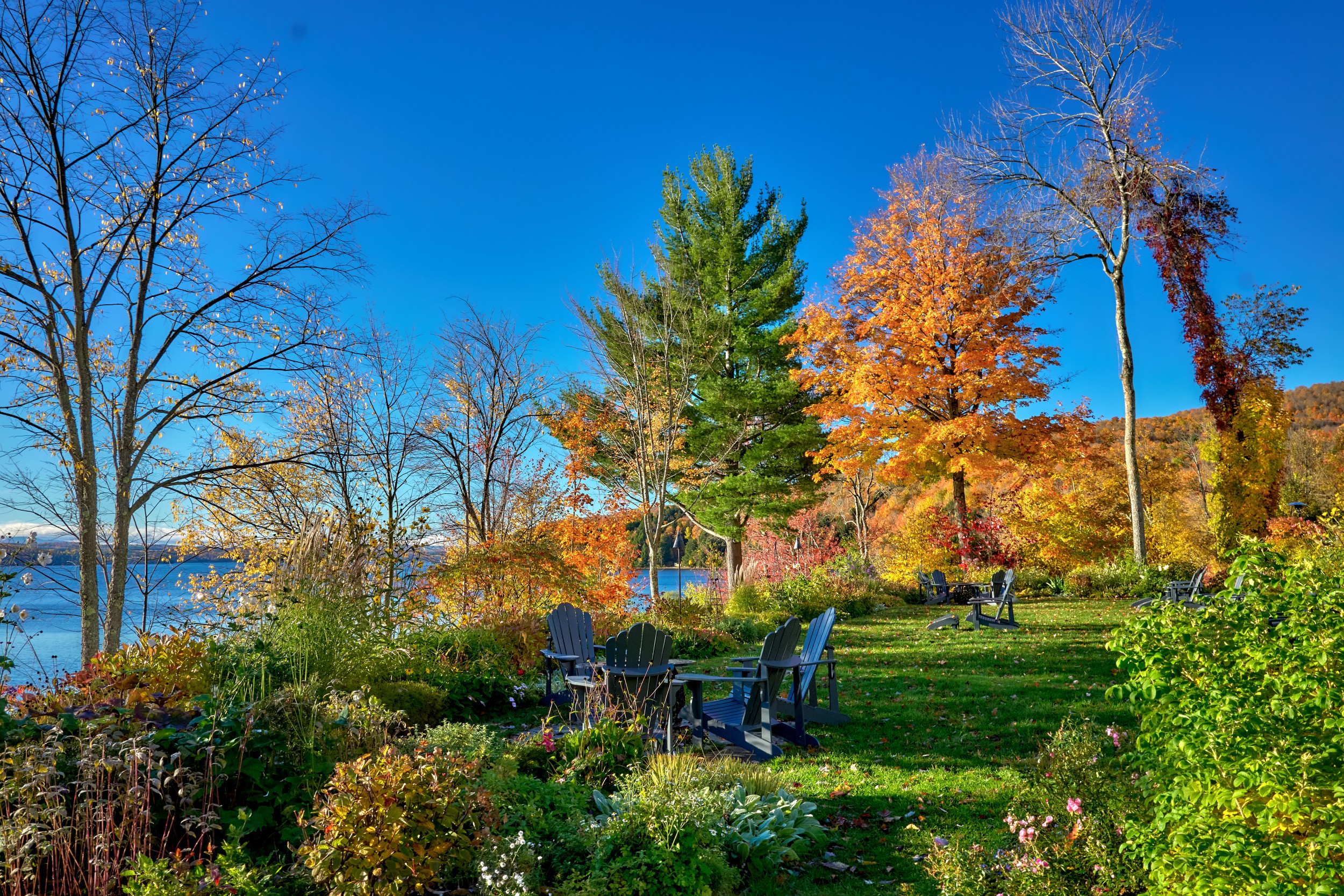 Vermont and Quebec 14 Green lawn, dark chairs, and orange trees slope toward blue lake water under clear sky.