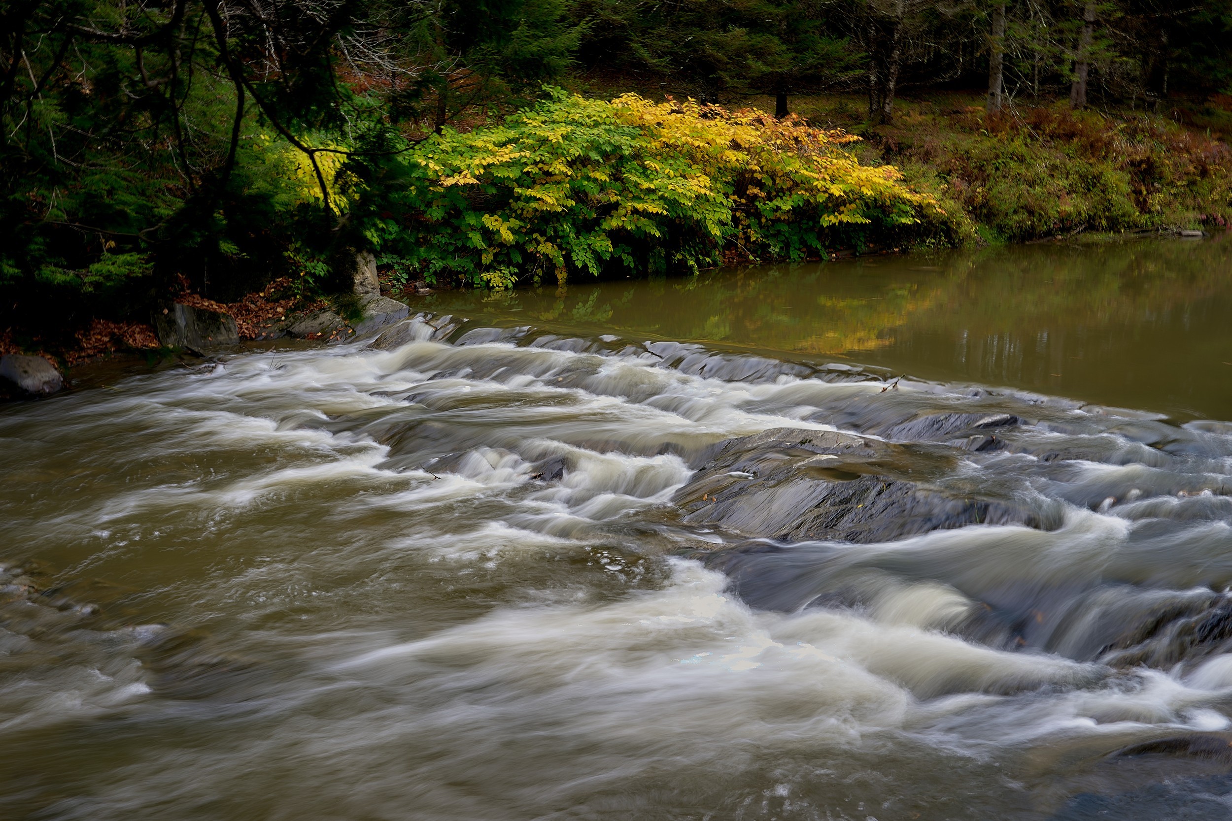 Vermont and Quebec 40 Fast shallow water ripples over dark bedrock beside a wooded riverbank near the Newport trail.