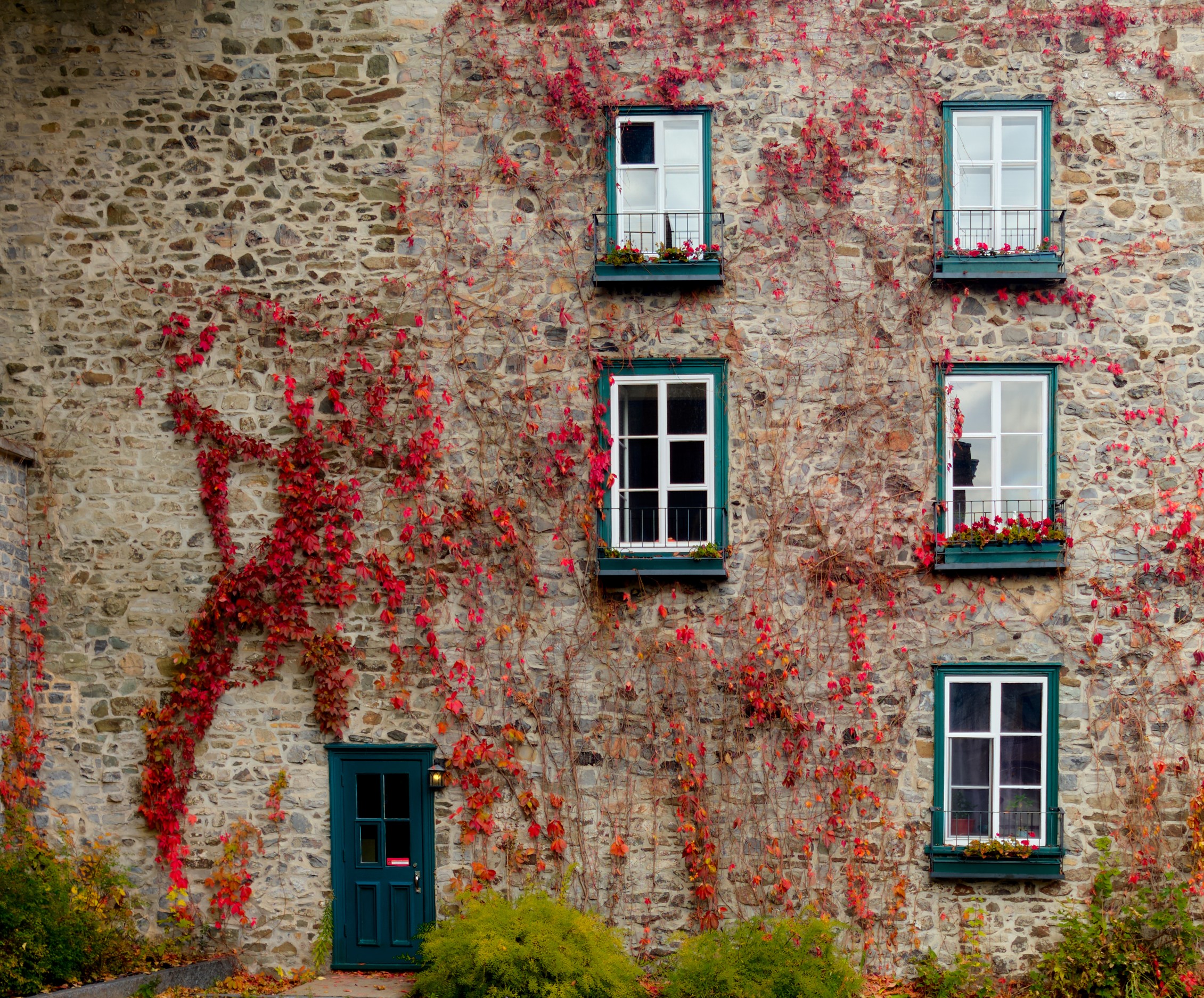 Vermont and Quebec 32 Weathered pale masonry with a turquoise door and small windows is crossed by curling red autumn vines.