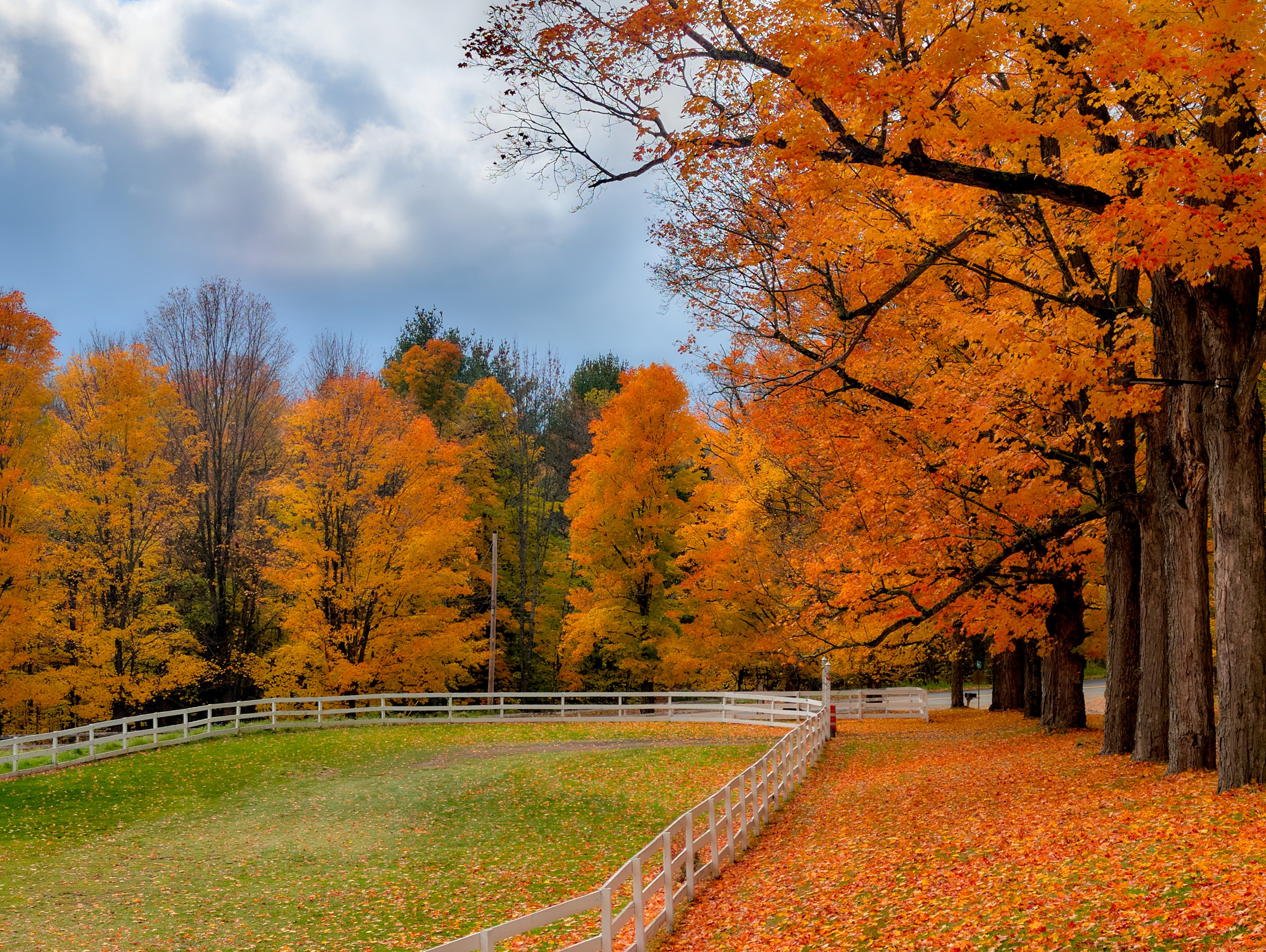 Vermont and Quebec 6 Orange and gold trees line a fenced green pasture as broken clouds brighten the horizon.